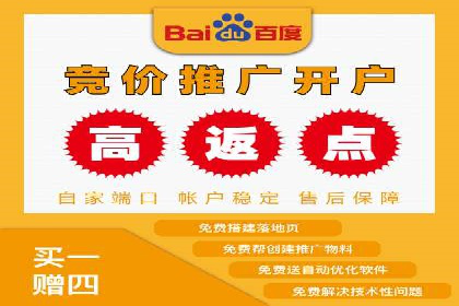 竞价托管实战案例：优化广告投放策略